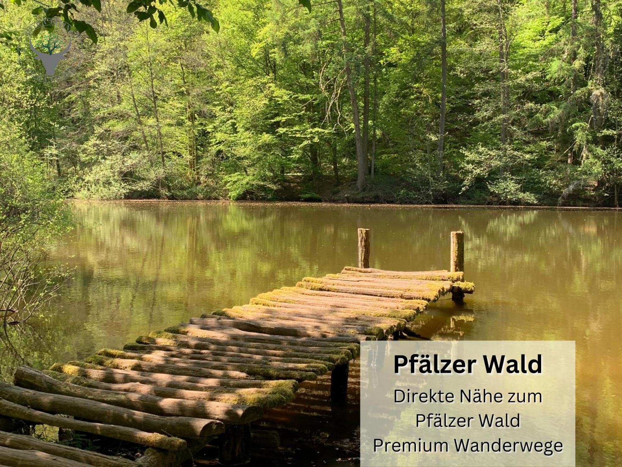 Ferienwohnung Stierpartment Am Pfaelzer Wald Naehe Outlet Center Zweibruecken Pirmasens Exterior foto